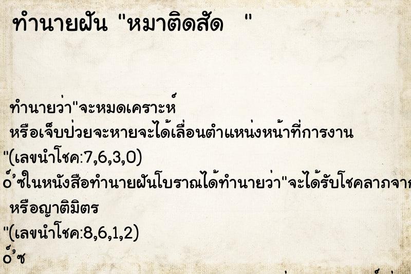 ทำนายฝัน หมาติดสัด  
